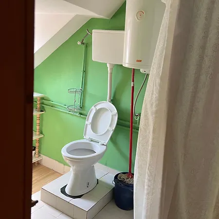 Slobo Velickovic Prokuplje