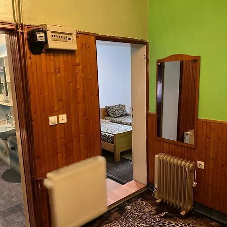 Slobo Velickovic Apartment